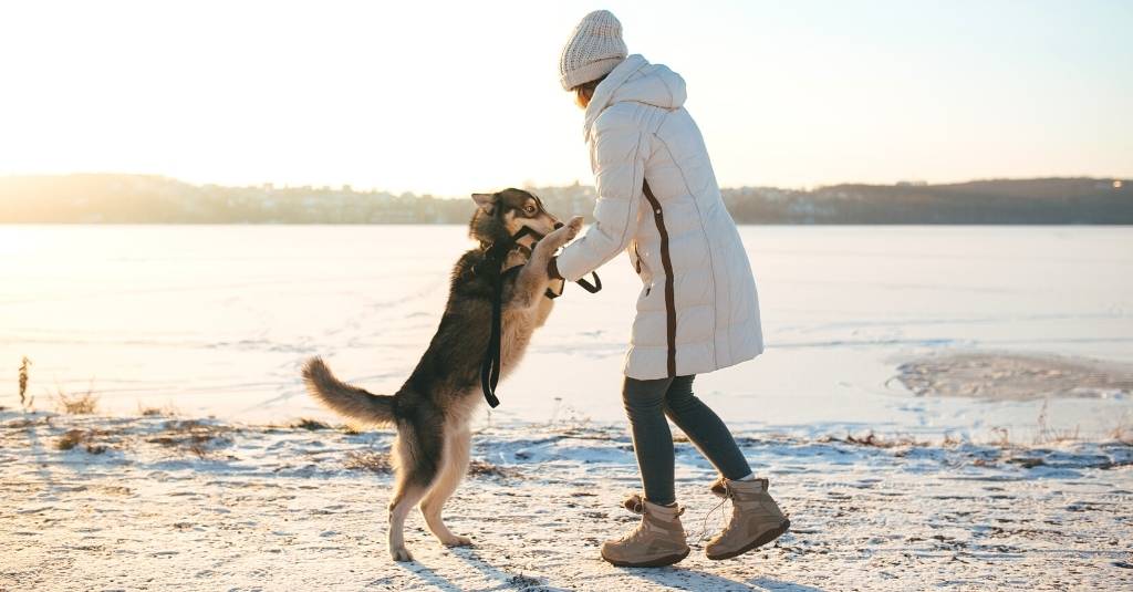 5 Tips to Kill the Winter Blues and Keep Your Pet Active this Winter