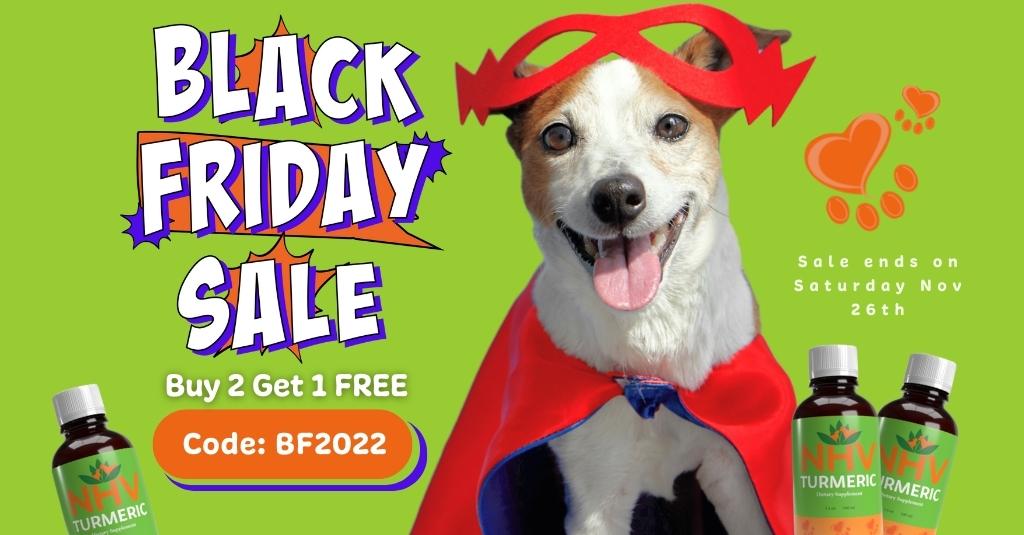 BLOG FEATURE IMAGE 8 7 NHV Natural Pet Products Blog