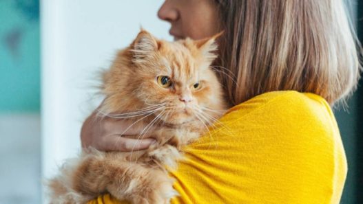 Contagious: Joy or Anxiety, What Are You Spreading To Your Pet