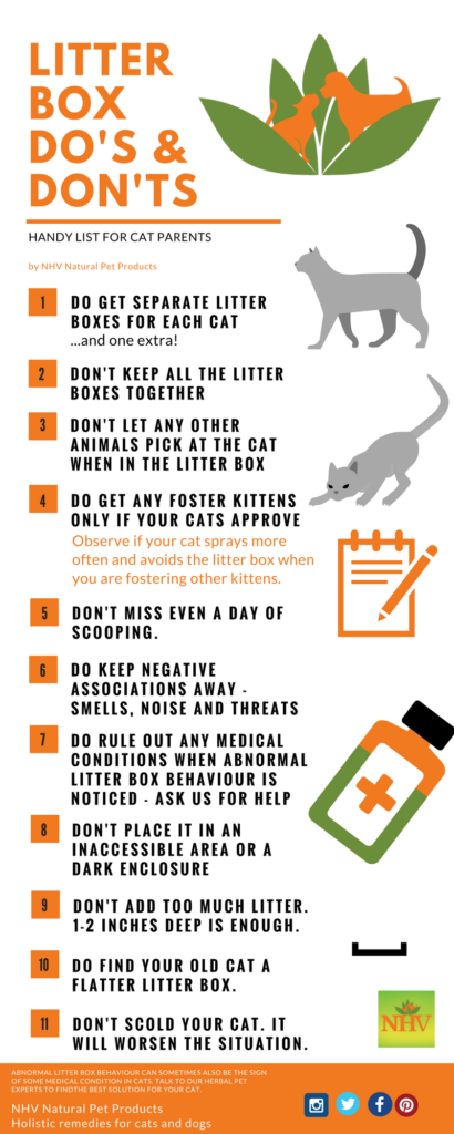 Abnormal Cat litter box behaviour