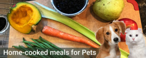 Pet Food Recipes