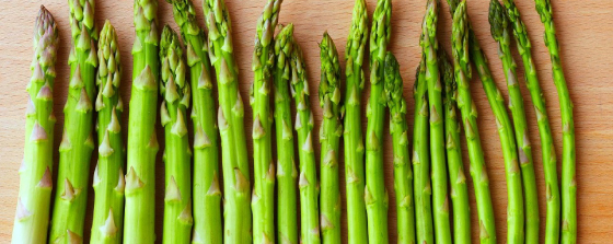Is asparagus safe for dogs?