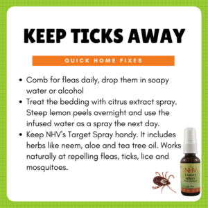 keep ticks away home tips