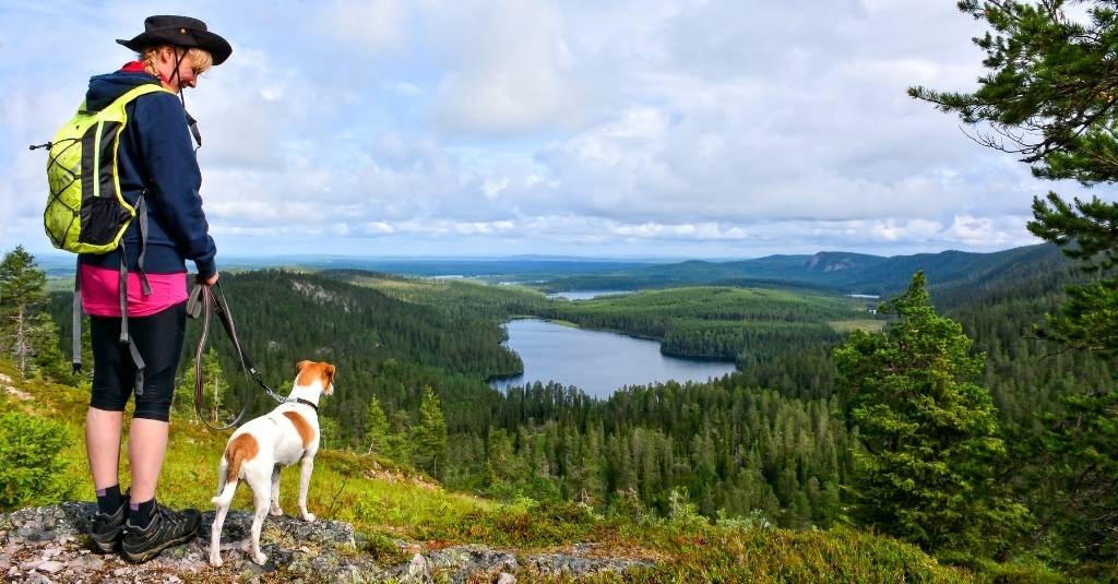 10 Essential Tips For Hiking With Dogs