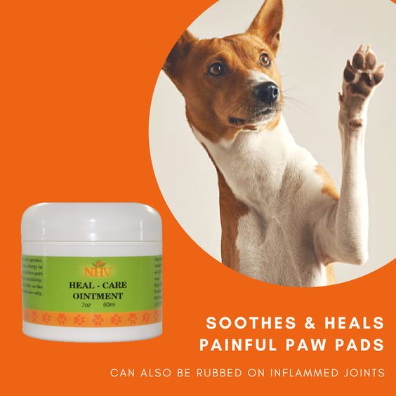 paw pad ointment for dogs