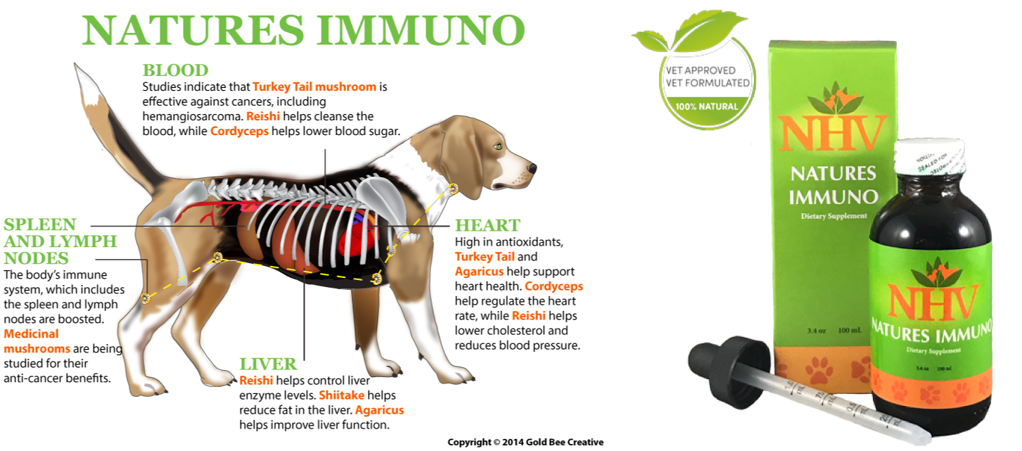 Mushrooms for dogs with cancer cancer