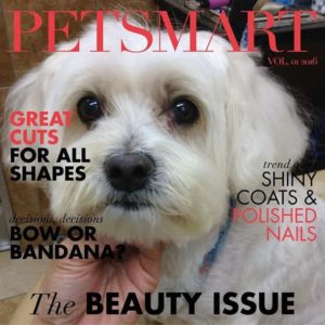 bhoomi dog NHV on petsmart cover