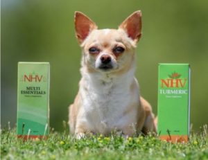 Chilly Chi From Az taking NHV supplements