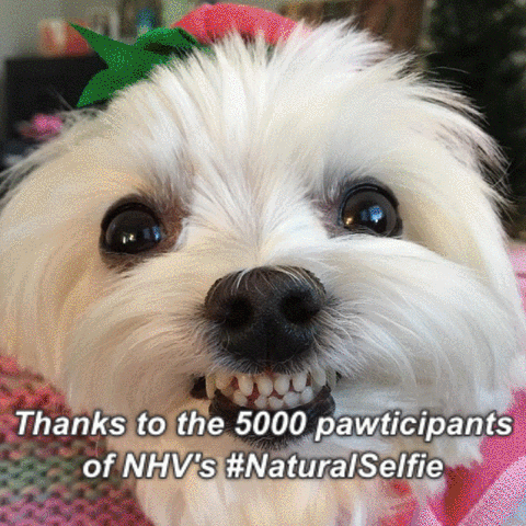 NHV Natural Selfie Campaign