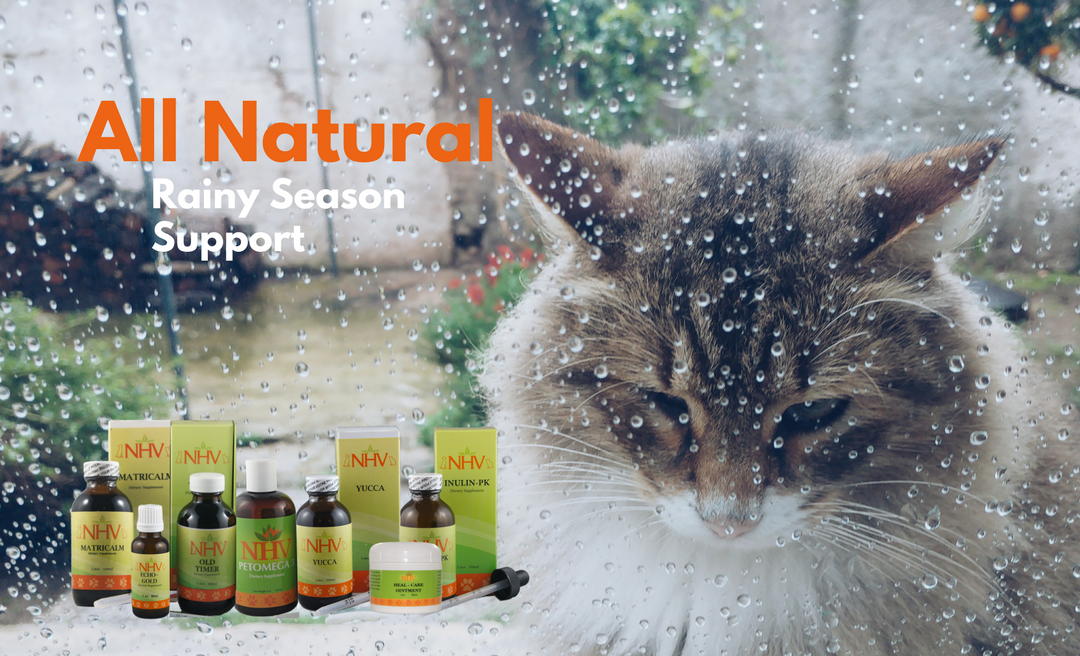 holistic care NHV Natural pet products 1