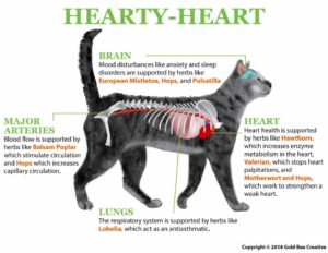 How NHV Hearty Heart works