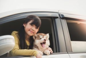 nhv natural pet products pets with kids 1