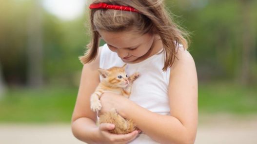 Things to Remember If Your Kids Want Their First Pet