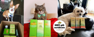 NHV Gift card