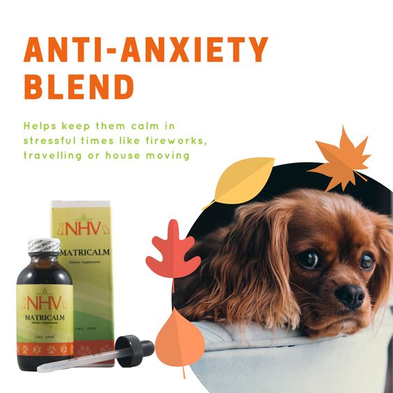 anti stress calming blend for pets