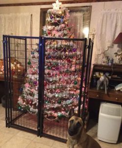 christmas tree in crate to protect it from dog