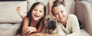 nhv natural pet products pets with kids 1