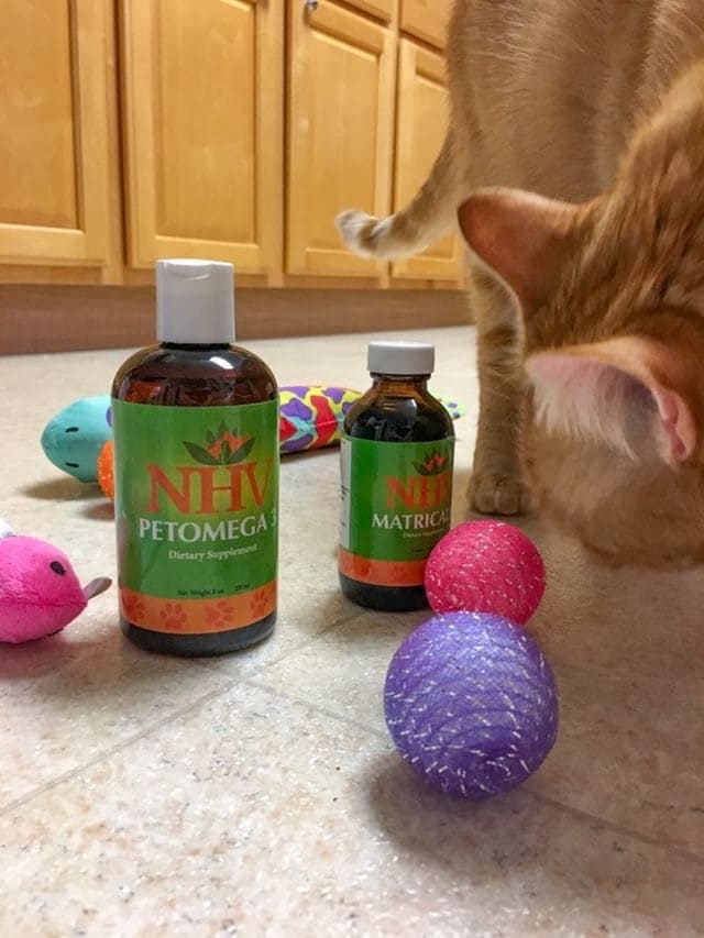 nhv natural pet products me in 4 words challenge winner sherlock and watson cats unboxing their box of natural cat supplies