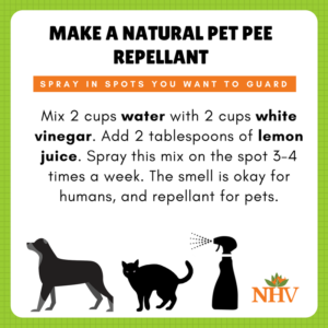 cat dog pee repellant DIY