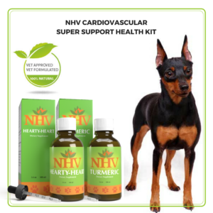 CARDIOVASCULAR SUPER SUPPORT KIT