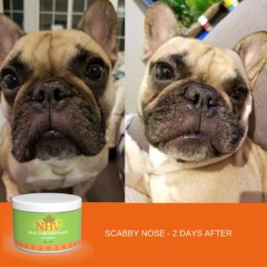 NHV heal care ointment review dogs frenchies