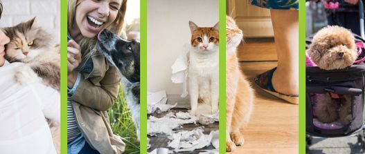 a pet moms life photo contest by NHV