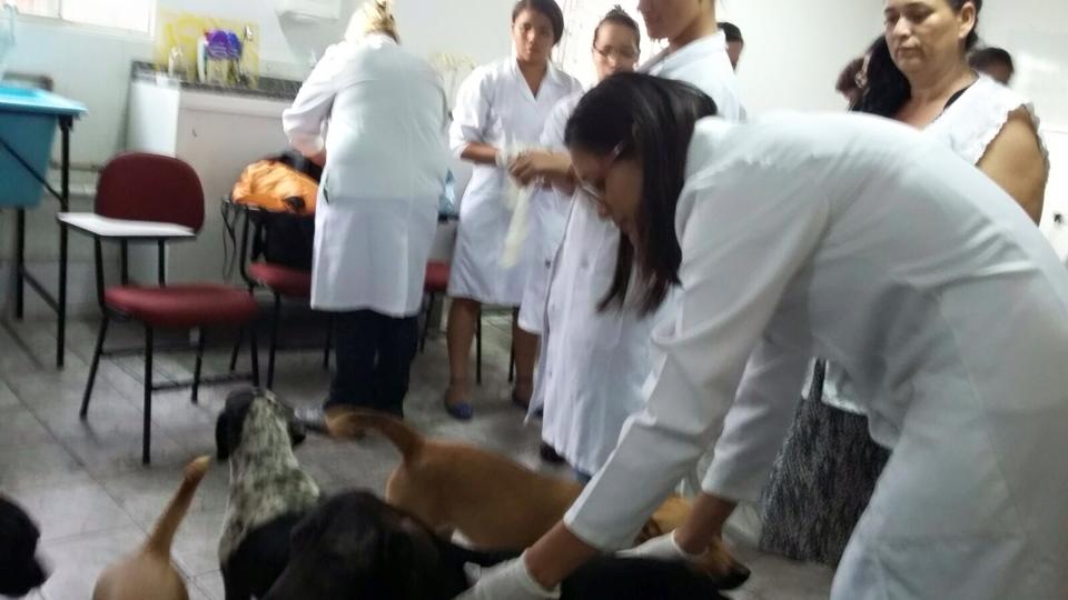 free care camp for homeless dogs