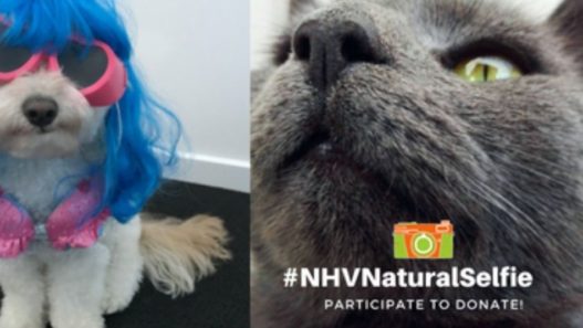 It’s Back! Participate and donate with #NHVNaturalSelfie