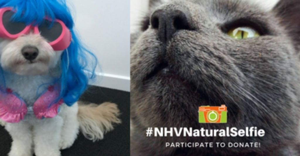 It’s Back! Participate and donate with #NHVNaturalSelfie