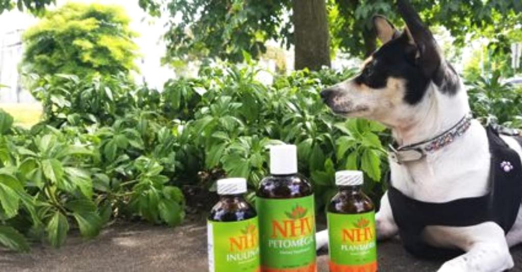 How It’s Made NHV Remedies For Pets NHV Natural Pet Products Blog