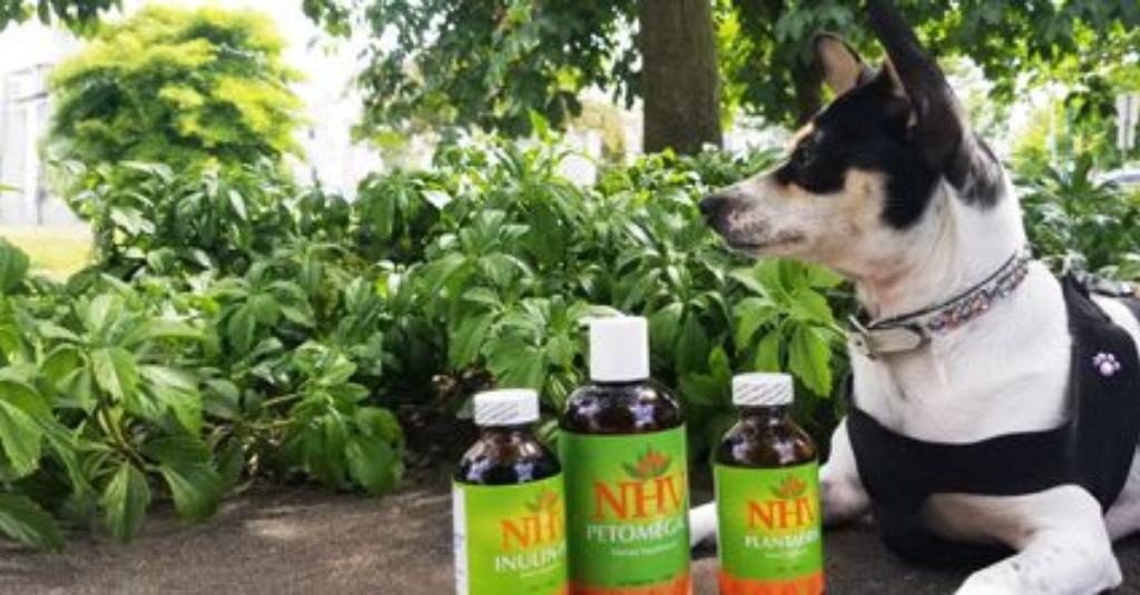 How It’s Made – NHV Remedies For Pets
