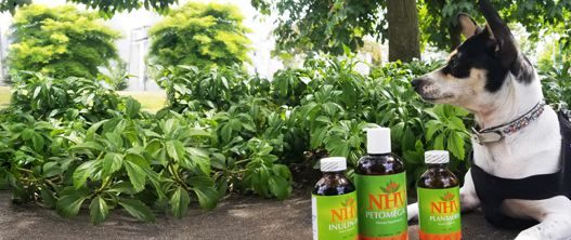 How NHV Supplements Are Made