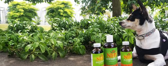 How NHV Supplements Are Made
