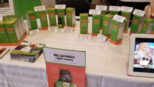 All things cat and NHV – Meowmories from Meowfest 2018