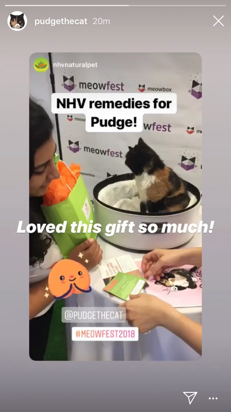 Pudge the cat got eye drops from NHV and our herbal multivitamin to help keep her coat shiny and soft, and to give her more energy to keep up with her many fans!