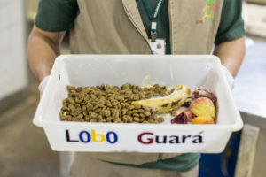 feeding a zoo - balanced diet for animals