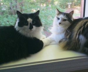Brother and sister Bobby (left) and Whitty (right)