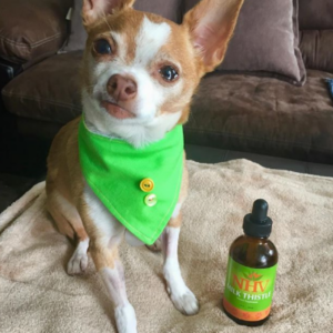 vino with milk thistle