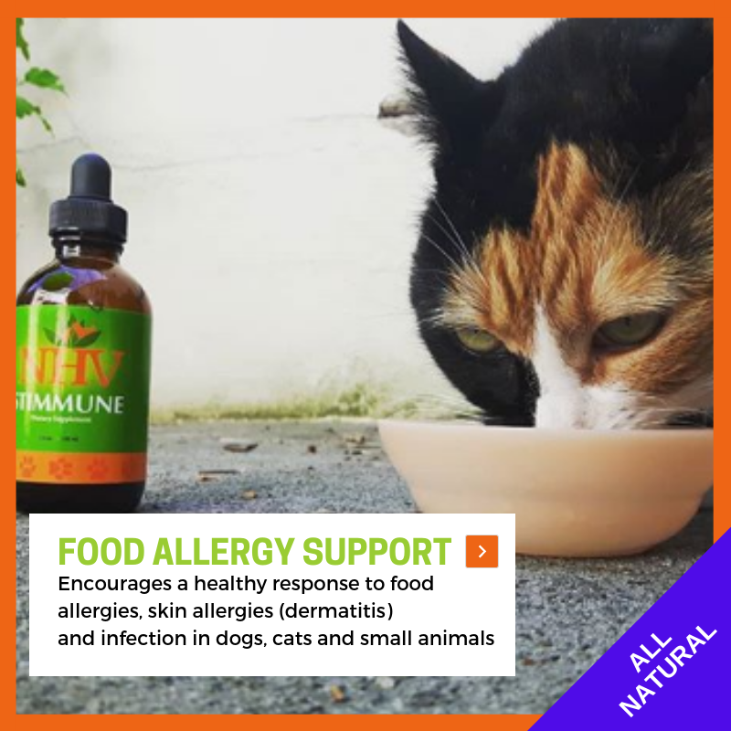 NHV Stimmune for pet food allergies