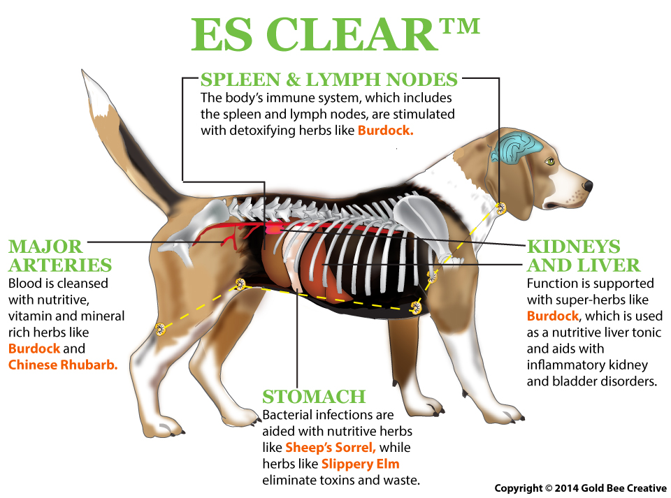 ES-Clear_dog_diagram