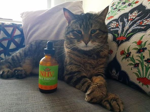 louie-kitty-nhv-supplements