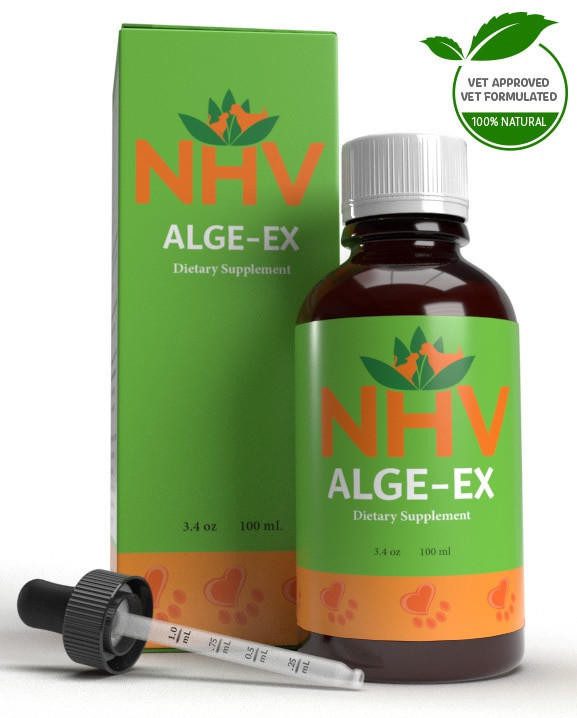 Alge-Ex for dogs