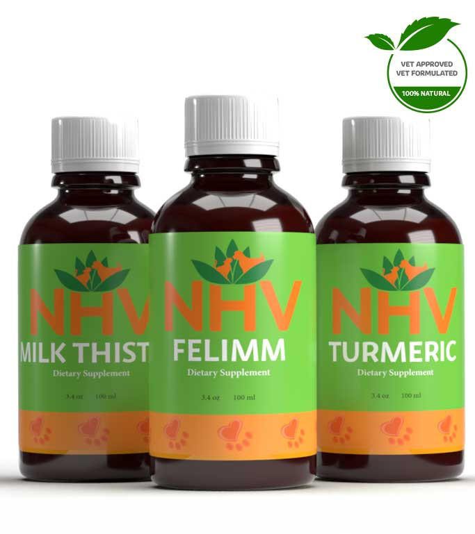 Feline Leukemia (FeLV) Immune and Antioxidant Super Support