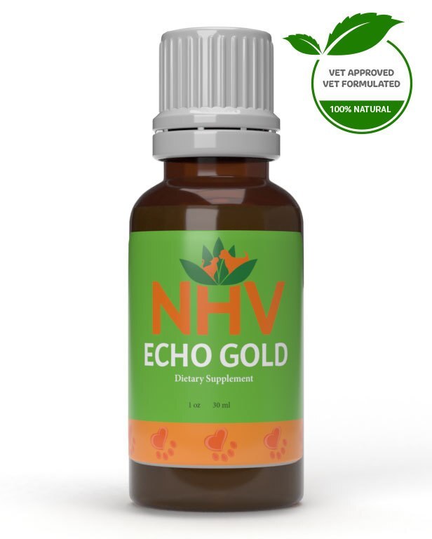 Echo Gold for cats