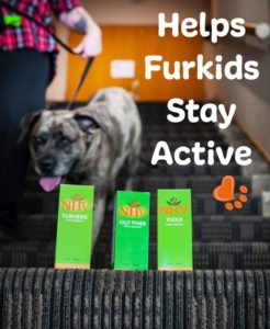 Helping furkids stay active