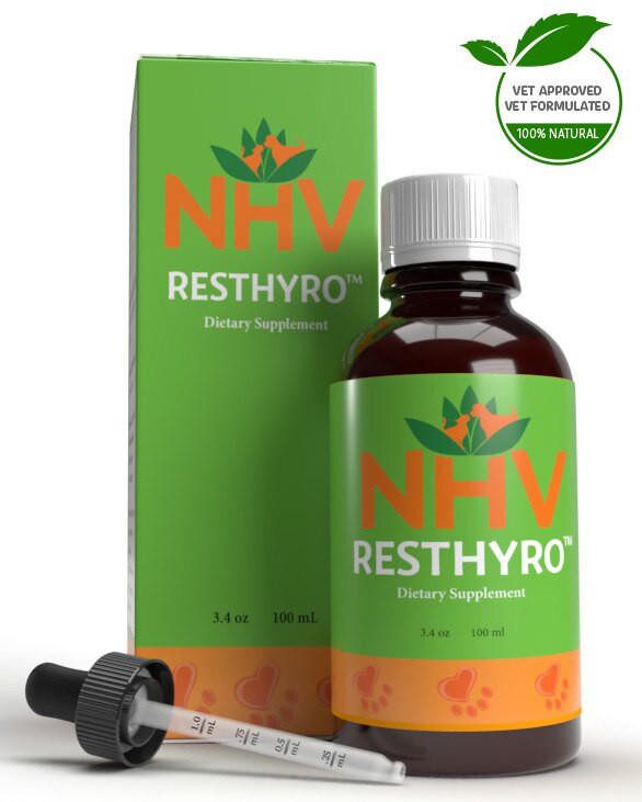 Resthyro™ for Cats