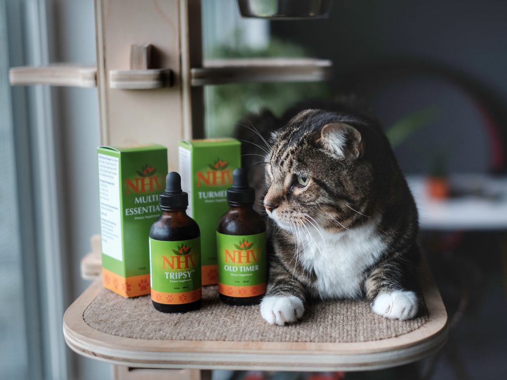 Klaus the cat with NHV supplements