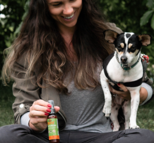chaya-rat terrier with dog