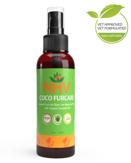 Coco Furcare for Cats
