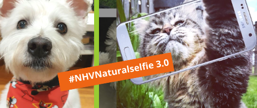 NHV Natural selfie blog 2019